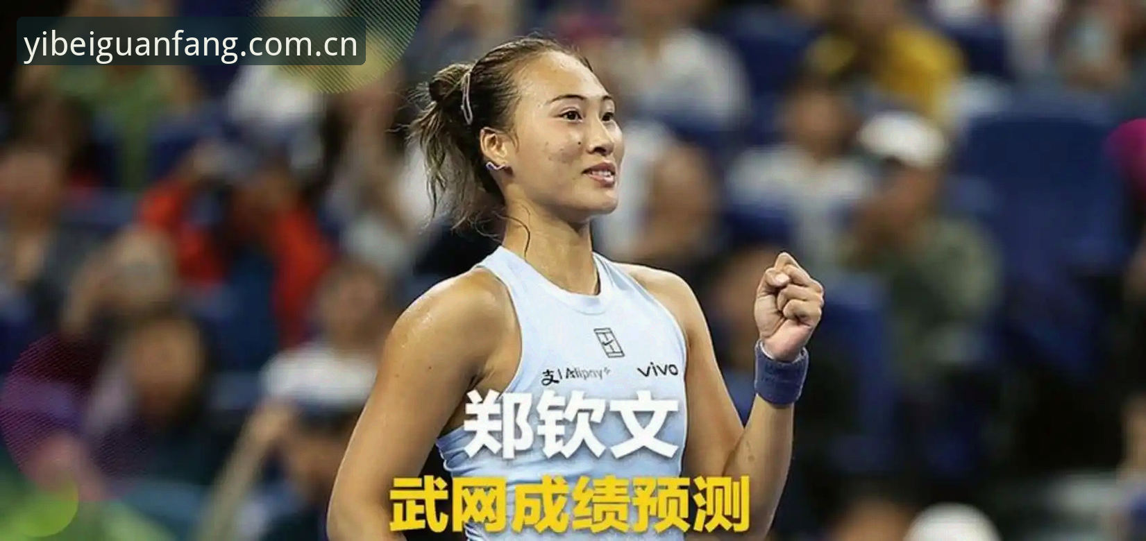 法网女单抽签全解析，资深球迷分享郑钦文王欣瑜晋级之路的独家观赛心得